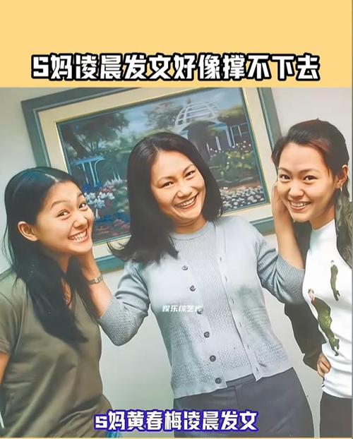大S百日祭:众星追忆与行业反思